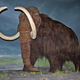 Image for article titled How evolution could bring back the sabercat